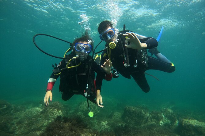 Discover Scuba Diving Baptism of the Sea in Half Day - Good To Know