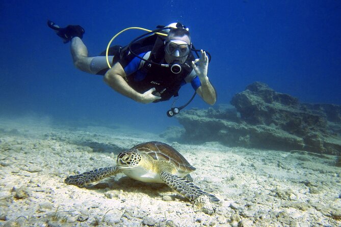 Discover Scuba Diving for Beginners in Protaras. Inc Photos - Good To Know
