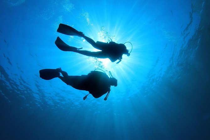 Discover Scuba Diving in Tenerife