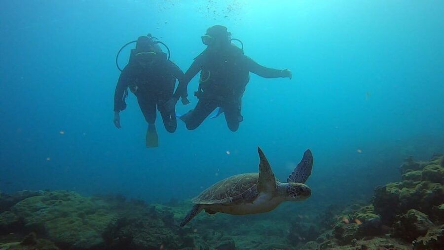 Discover Scuba Diving Program for Beginners