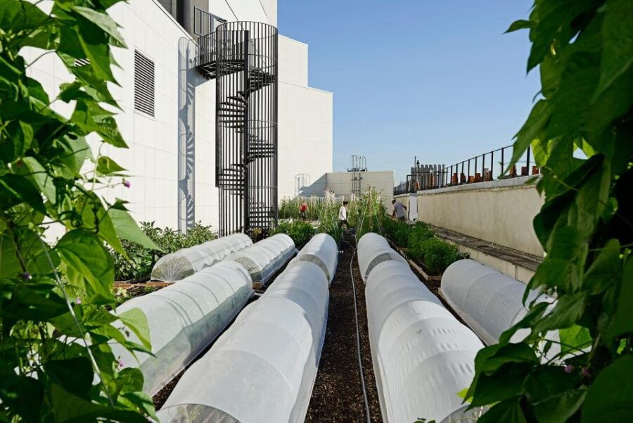 Discover the Opéra Bastille Rooftop Farm - Reservation