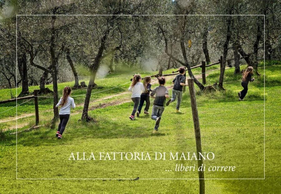 DISCOVERING AN ENGLISH GARDEN OVERLOOKING FLORENCE