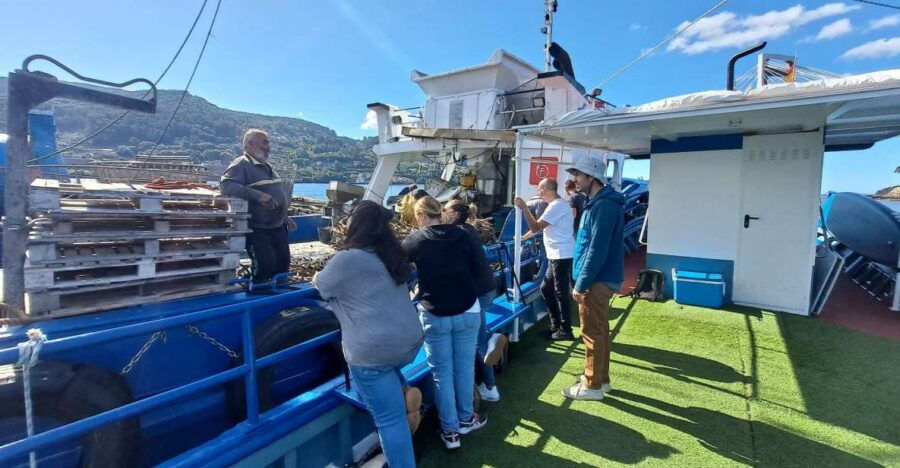 Discovering Vigo Ria and Mussels in the Traditional Boat - Good To Know