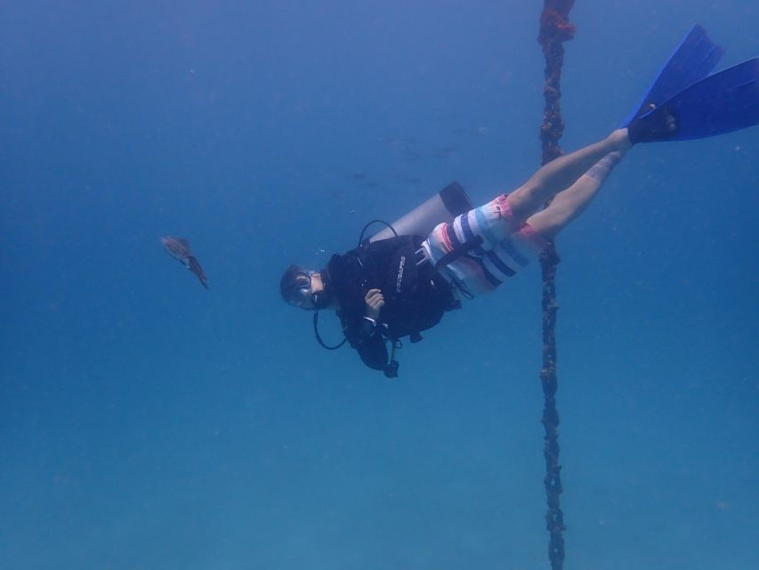 Dive in Tayrona Park