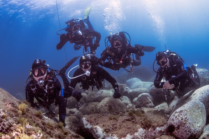 Diving Guided by the Diving Center (With Full Equipment) - Reviews and Ratings