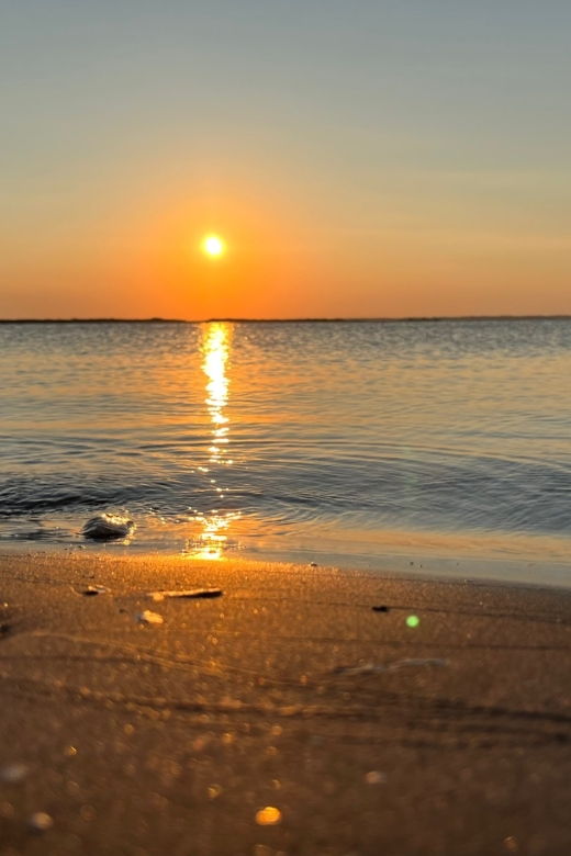 Dolphin Sighting & Shelling Cruise to Historic Morris Island - Inclusions