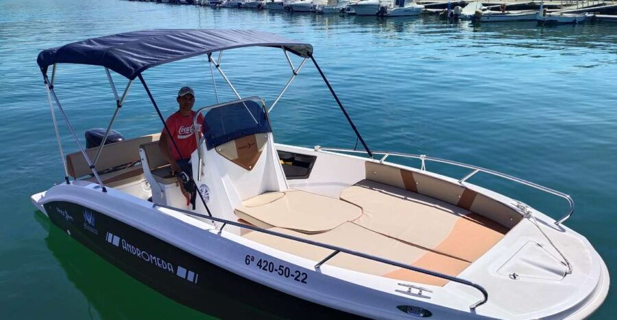 Dolphin Watching: 2-Hour All-Inclusive Experience - Full Description