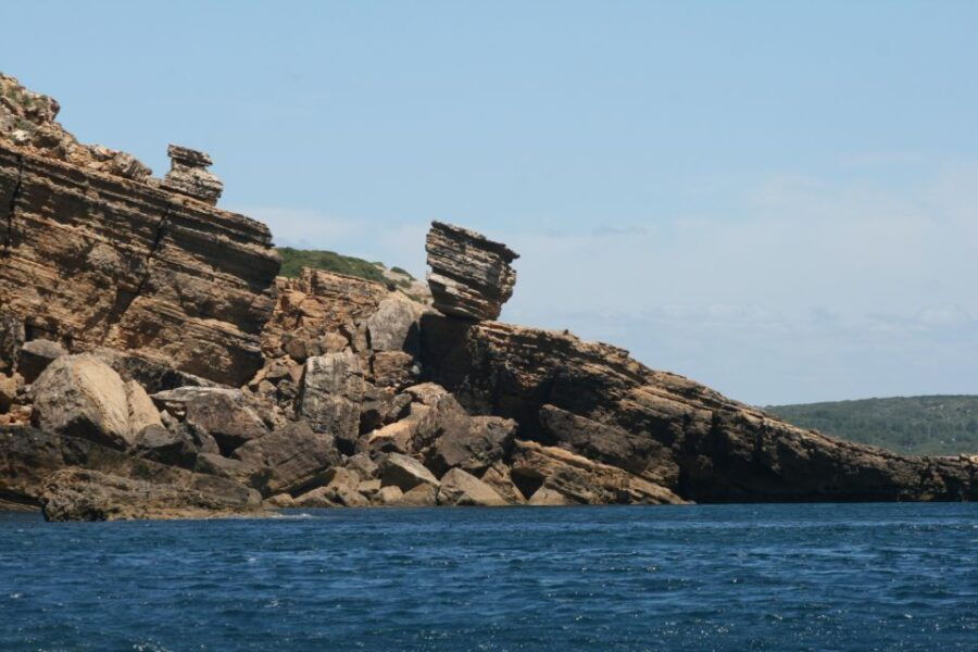 Dolphin Watching and Local Caves Observation