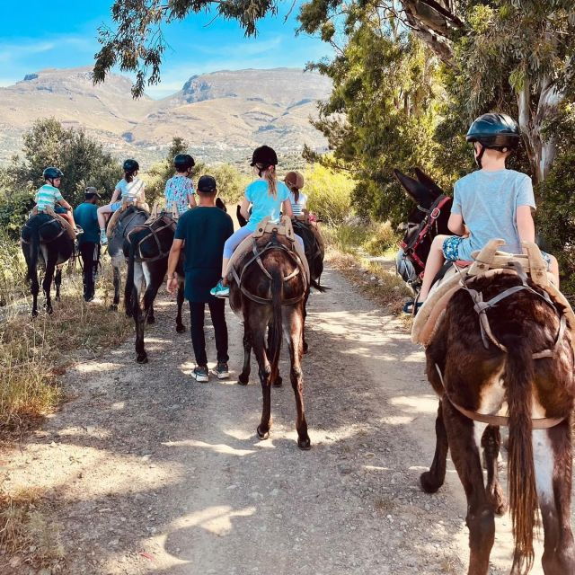 Donkey Ride – Cretan Country