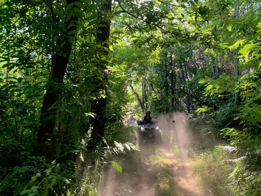 Dordogne: Guided Tourist Quad Bike Excursions