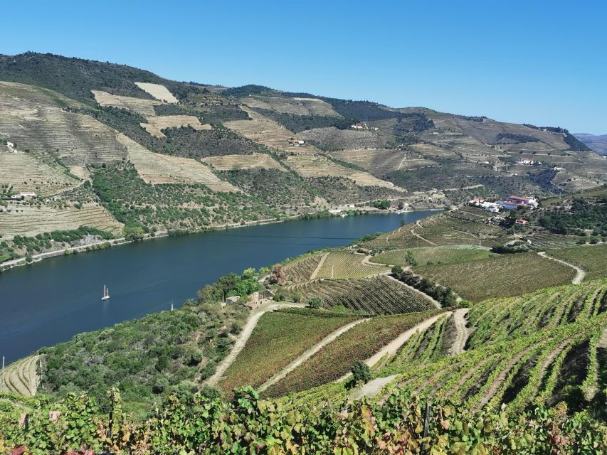 Douro Exclusive: The Full Tour!