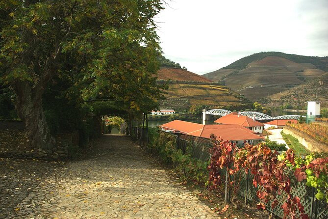 Douro Valley: From Casal De Loivos to Pinhão, Walk and Wine Tour - Tour Highlights