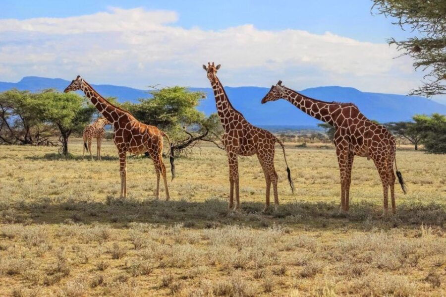 Drakensberg Hiking & Tala Game Reserve 2 Day Tour Fro Durban - Tour Details