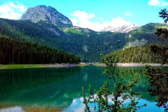Durmitor National Park, Northern Fairy Tail -Private Tour From Podgorica - Tour Details