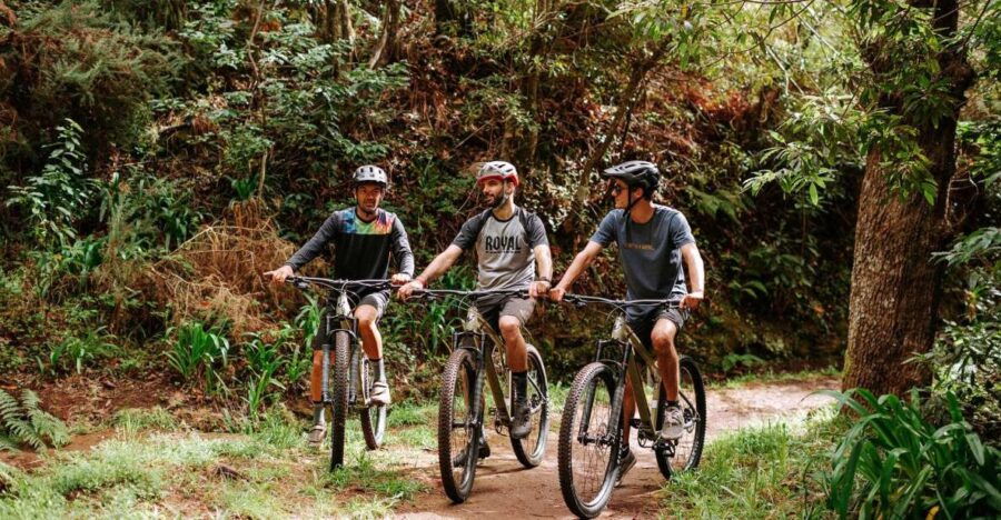 E-Bike Guided Tour – Mountain Biking Experience
