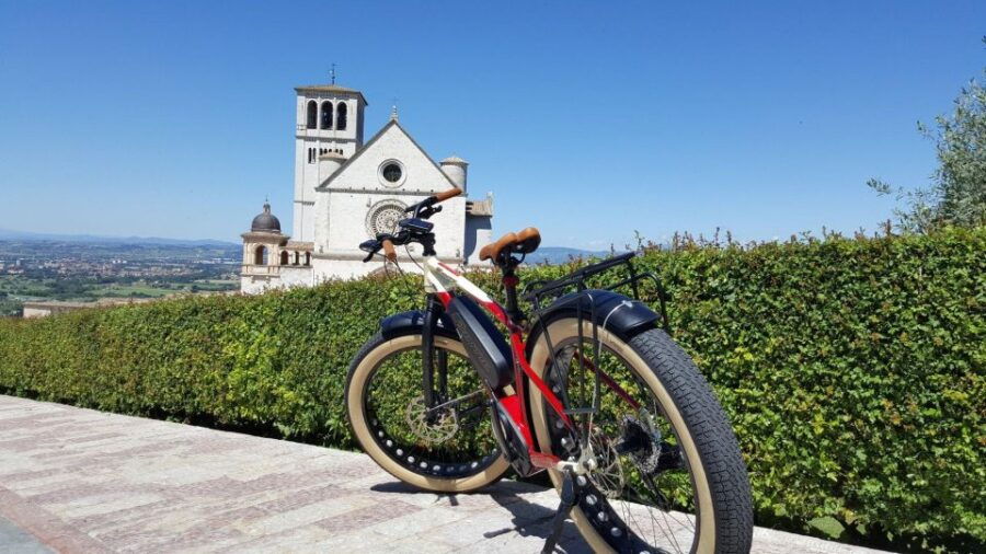E-Bike Mtb Front- Full Day - Good To Know