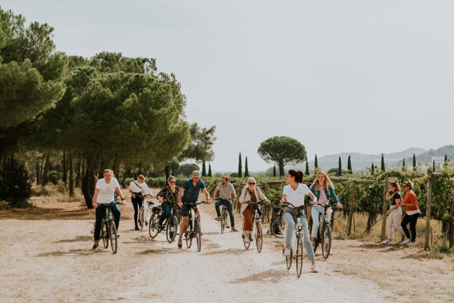 E-Bike Tour & Picnic in an Exclusive Winery Estate