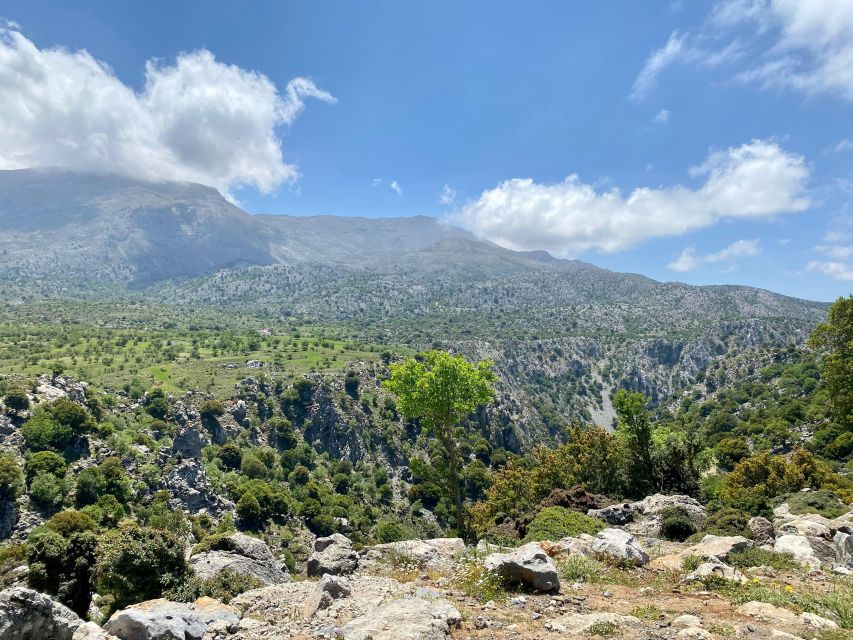 Eastern Crete: Kritsa Gorge Hiking Tour - Tour Details