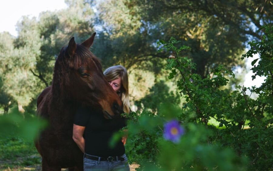 El Palmar: Reconnect Thanks to Horse Coaching