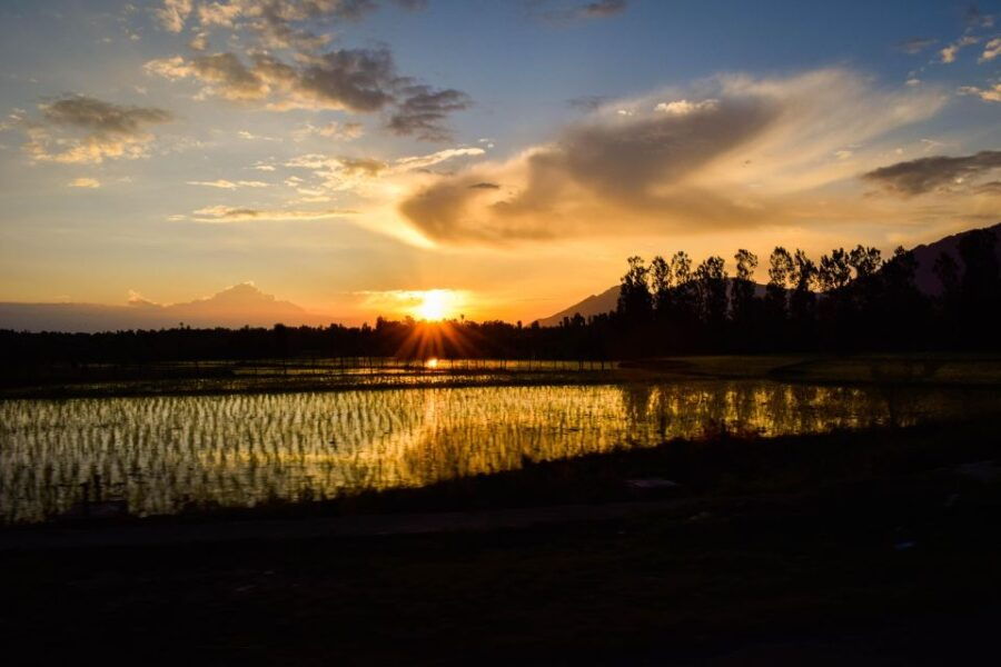 Enchanting Kashmir: A 6-Day Srinagar Adventure