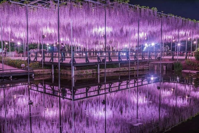 Entry Ticket to Ashikaga Flower Park in Japan - Good To Know