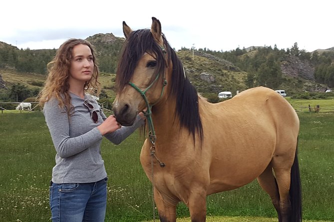 Equestrian Experience - Peruvian Paso Horse - Good To Know