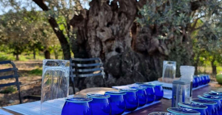 Ermioni: Olive Oil Tasting & Millennial Olive Tree Tour - Good To Know