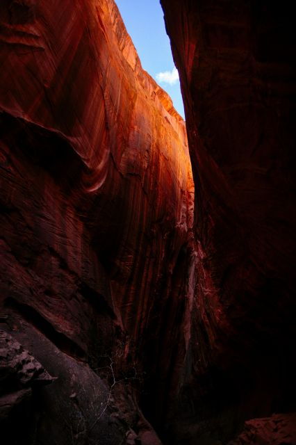 Escalante: Full-Day Private Tour & Hike - Good To Know