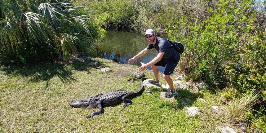 Everglades Airboat Ride & Guided Hike - Activity Details