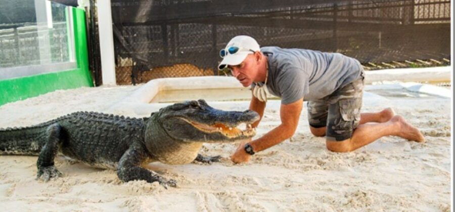 Everglades Airboat Tours and Rides - Pricing and Booking Information