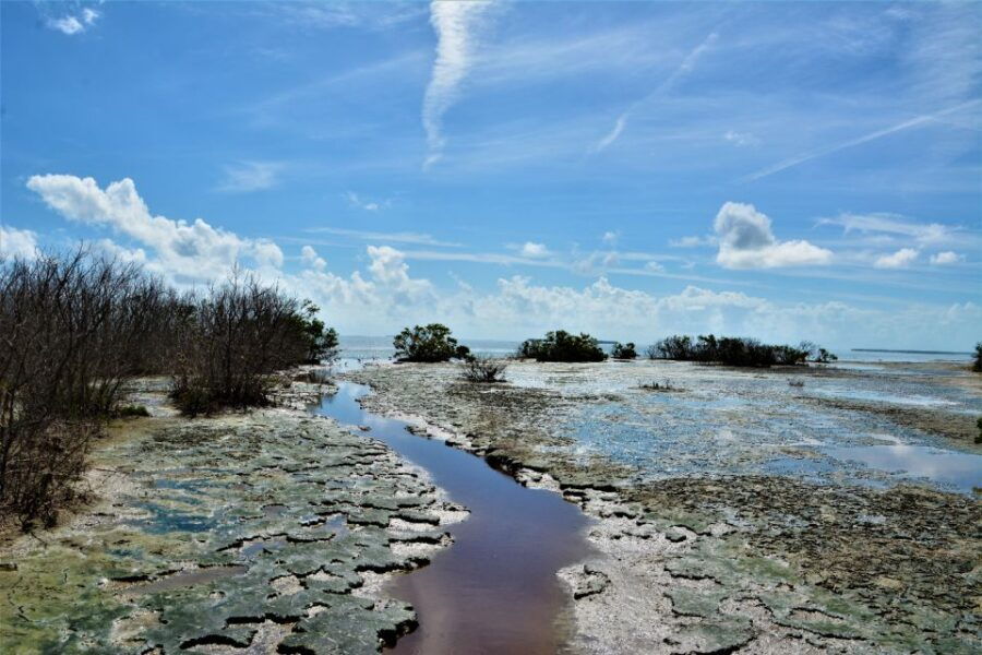 Everglades & Big Cypress Self Guided Driving Tour Bundle - Good To Know