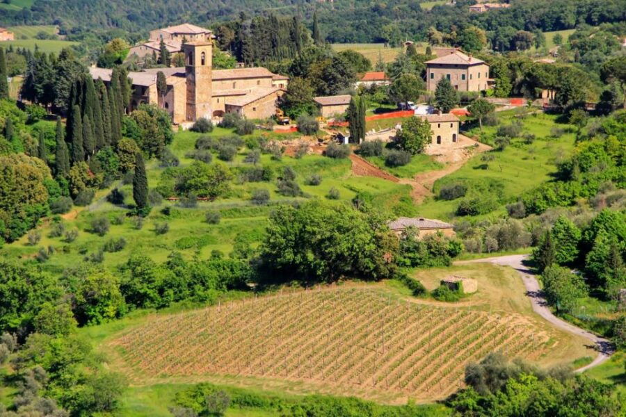 Exclusive Brunello Wine Tour a Private Luxury Experience - Booking