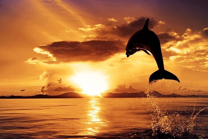 Exclusive Dolphin & Sunset Cruise With Dinner & Drinks From Pula