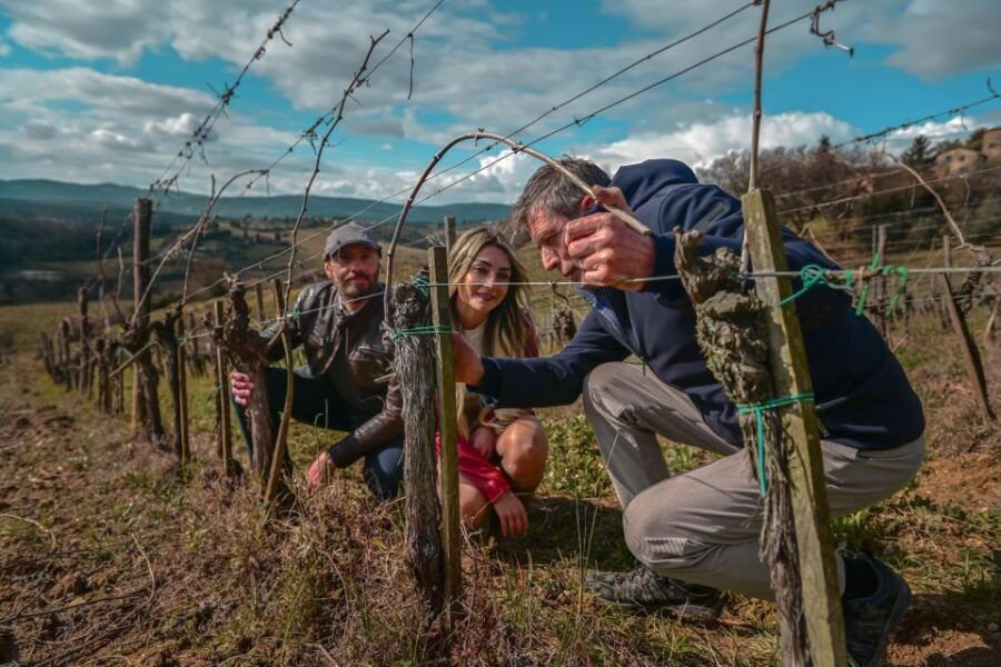 Exclusive Winery Tour and Wine Tasting in Siena