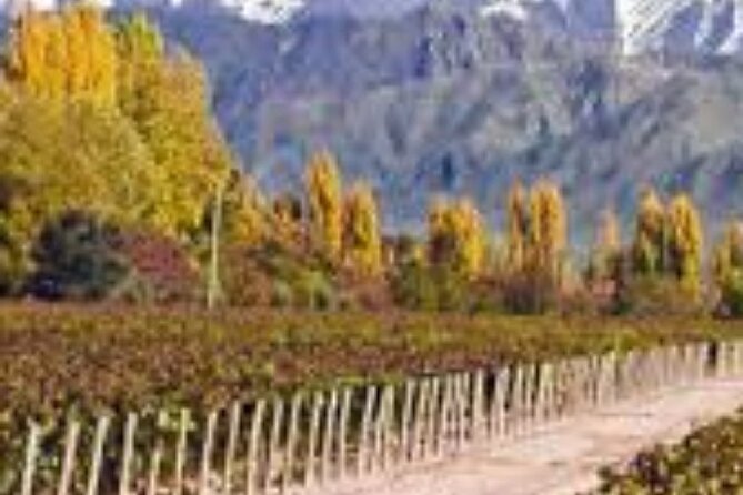 Executive Transfers From Mendoza Airport to the Hotel in Downtown Mendoza.