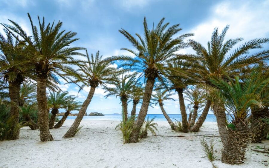 Exotic Vai Palm Beach, Toplou Monastery & Sitia Town