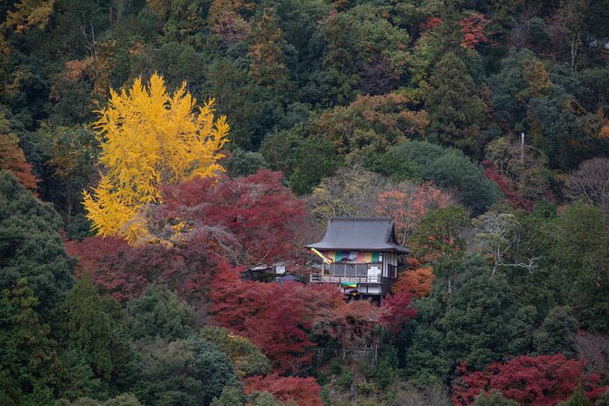 Explore Arashiyama Bamboo Forest With Authentic Zen Experience - Good To Know