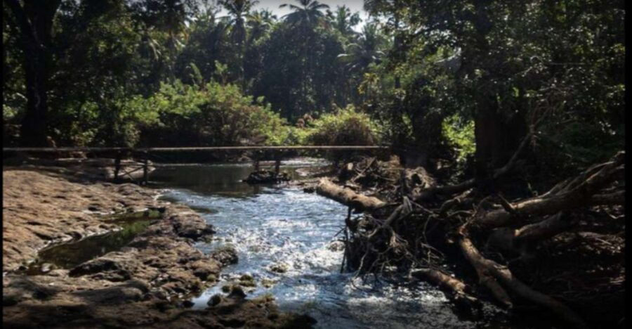 Explore Divar Island:Nature & Backwater Boating in North Goa - Good To Know