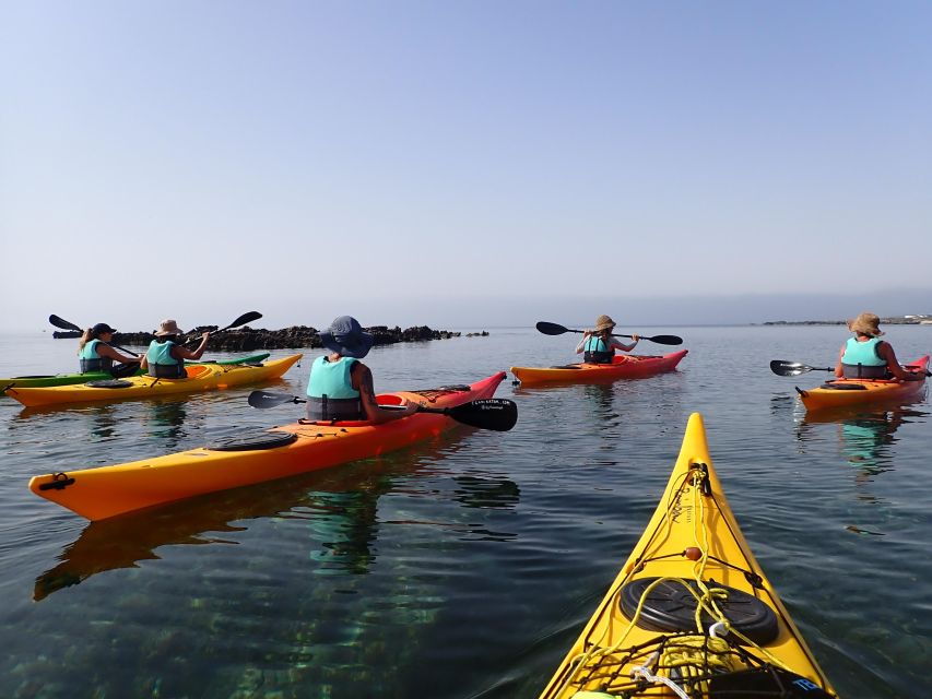 Favignana Full-Day - Includes