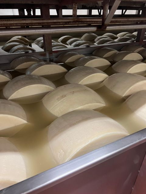 Ferrari Museum, Parmesan Cheese, Balsamic Vinegar Food Tour - Tour Experience
