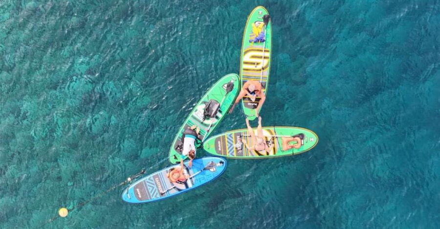 Flamingo Beach: Guided SUP and Snorkeling Experience - Good To Know