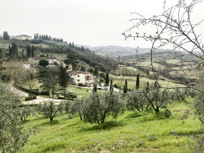 Florence: Charterhouse Guided Tour and Hills Walking Tour - Description