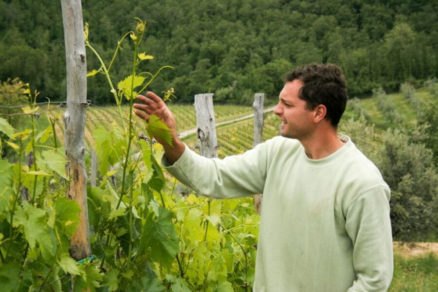 Florence: Chianti Villages, San Gimignano and Winery Tour - Language and Pickup Options