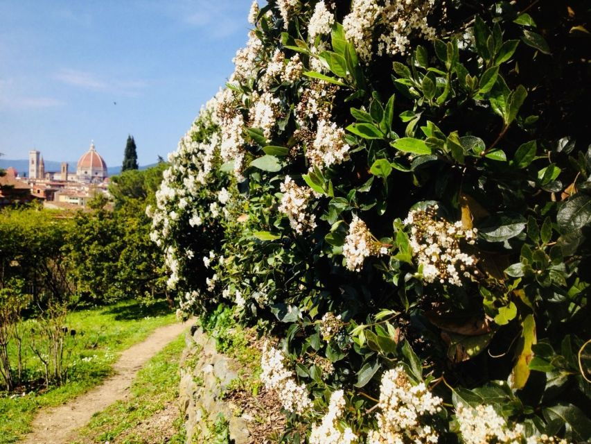 Florence: Private Brunelleschis Dome and City Walking Tour - Booking Information