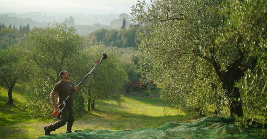 Florence: Tuscany Olive Oil, Coffee & Wine Small Group Tour - Good To Know
