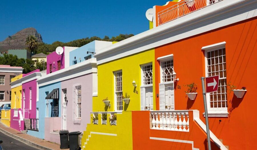 Fom Cape Town: Cape Point & Penguins Shared Group Day Tour