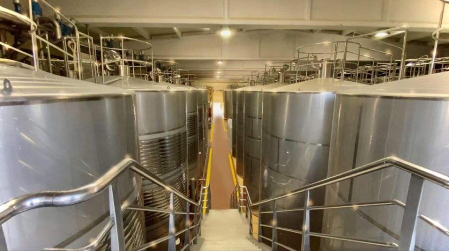 Food Cours in Farmers Place in Valencia Whit Wine Tasting! - Tour Details