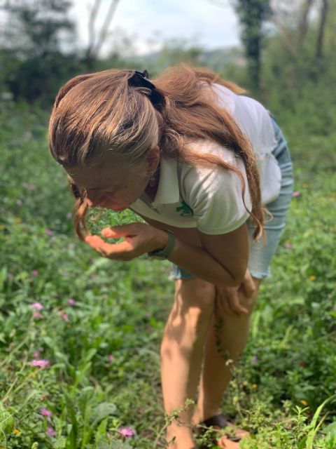 Forlì Hills: Foraging Tour, Looking for Wild Edible Herbs