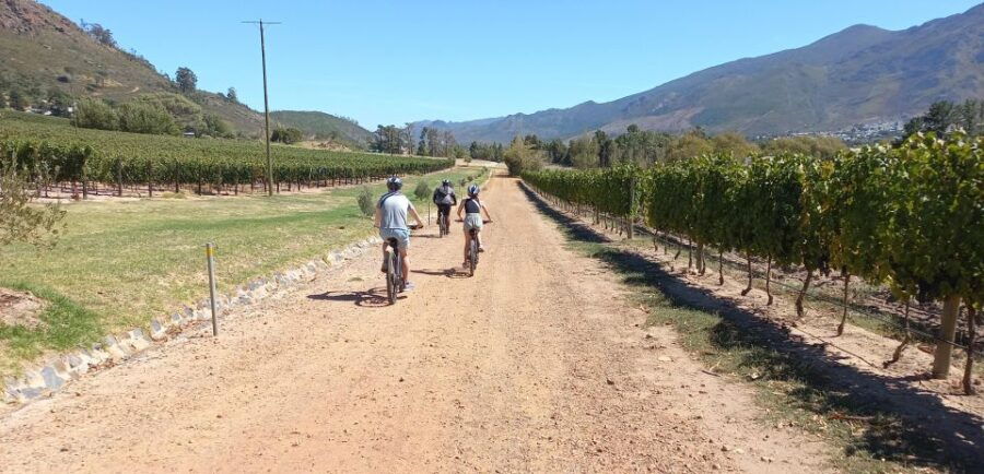 Franschhoek E-Bike & Wine Tour