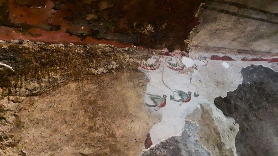 From Alghero: Archaeological Highlights Tour With Lunch - Tour Details